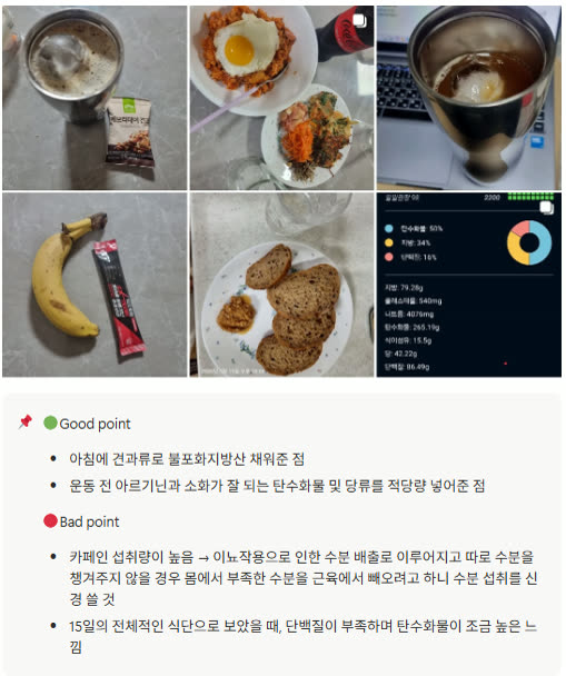 다이어트 초반 집에서 챙긴 식단