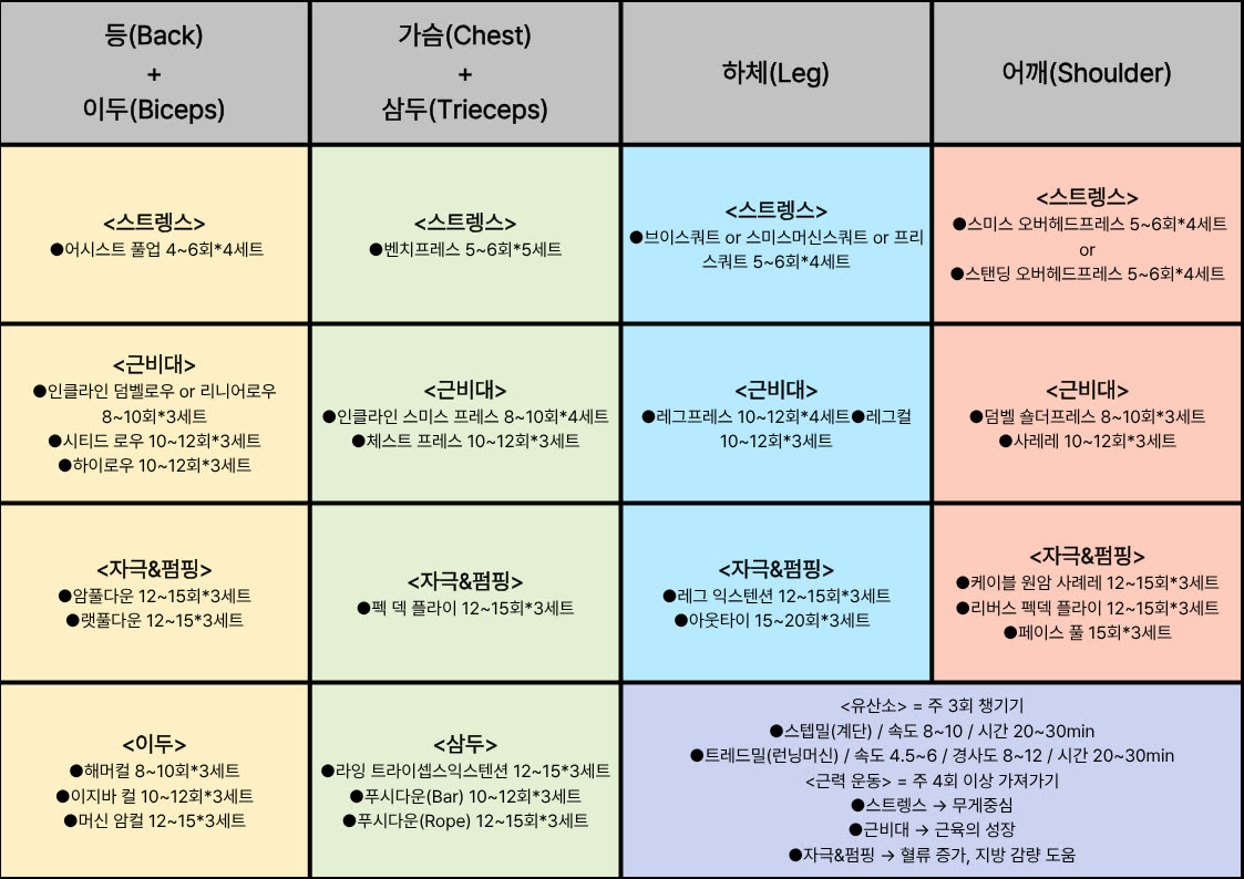 노션 페이지에 기록한 개인 운동 루틴